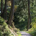 Prázdninový dům La Belle Du Bayehon Malmedy