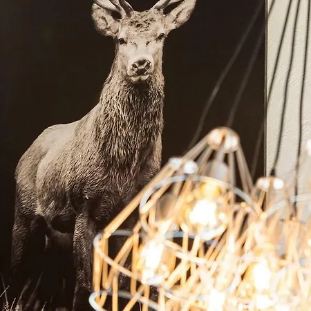 La Belle Du Bayehon Сasa de vacaciones *