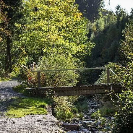 La Belle Du Bayehon Feriehus *