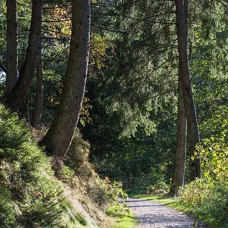 Сasa de vacaciones La Belle Du Bayehon Malmedy