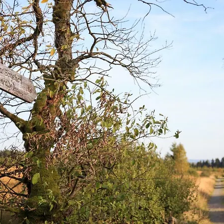 La Belle Du Bayehon *